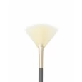 Jane Iredale Fan Brush close